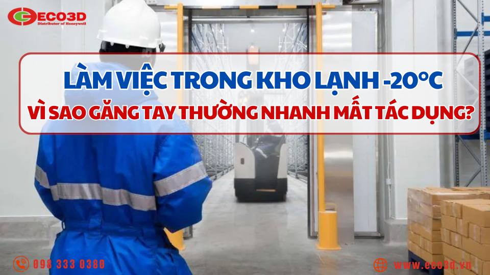 Làm việc trong kho lạnh -20°C: Vì sao găng tay thường nhanh mất tác dụng?