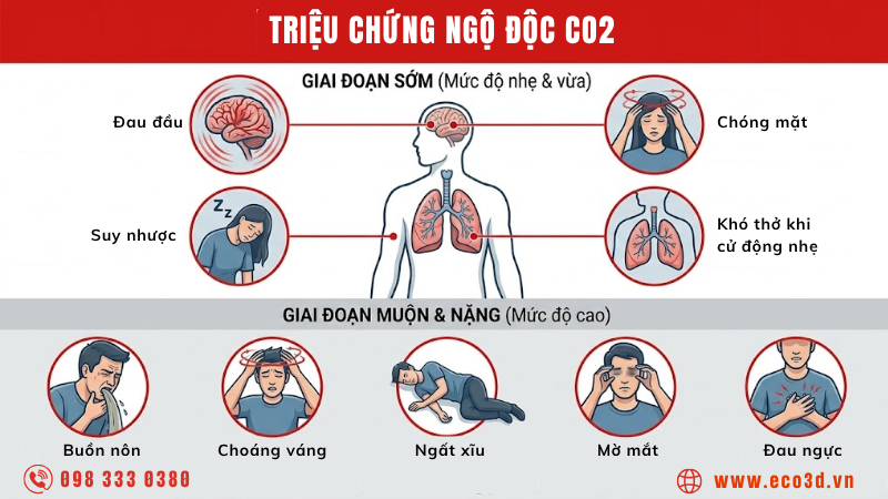 Dấu hiệu nhận biết khi bị ngộ độc CO2