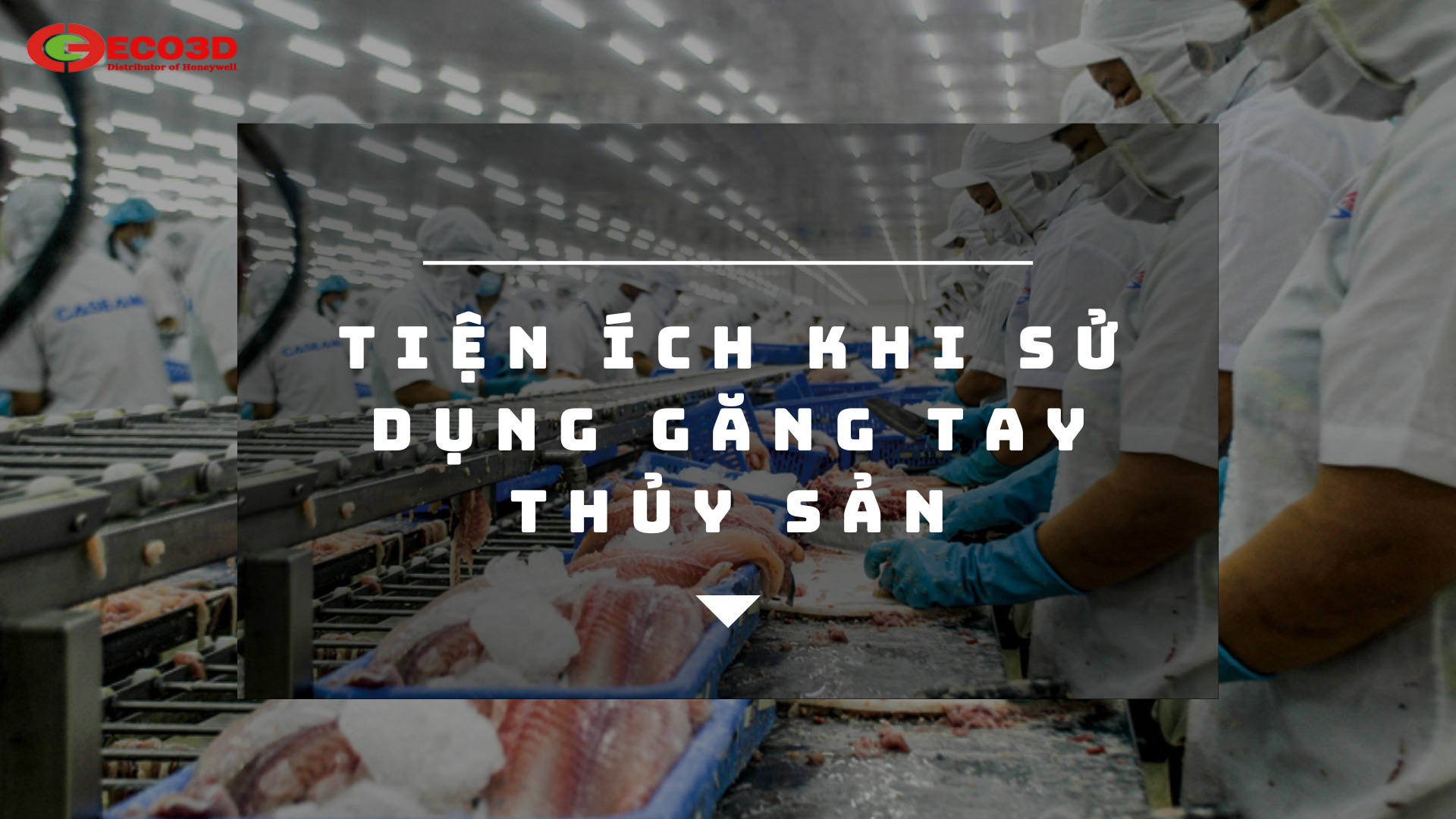 Tiện ích khi sử dụng găng tay chế biến thủy sản