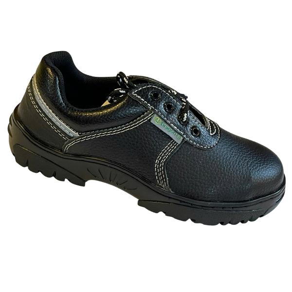 Giày bảo hộ thấp cổ Dragon 1S