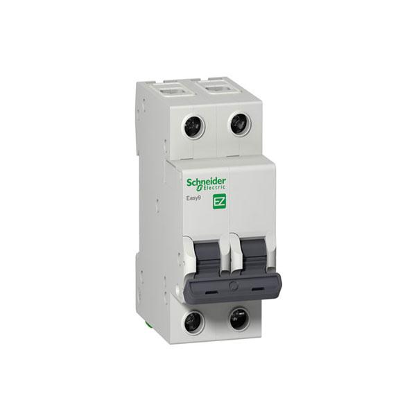 MCB (Aptomat) Easy9 2P 4.5kA 230V C curve Schneider