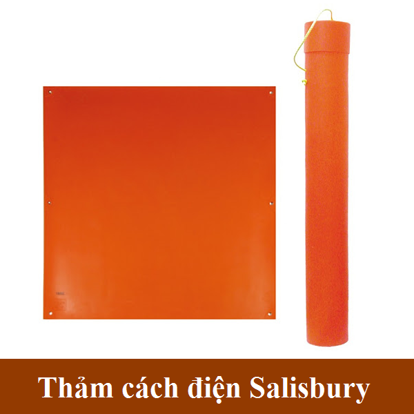 Thảm cách điện là gì? Đặc điểm, cấu tạo và ứng dụng