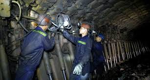 Phân biệt chức vụ qua màu mũ bảo hộ