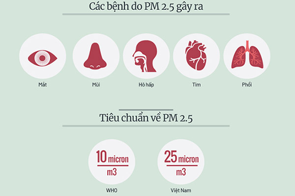 Quy trình bụi mịn xâm nhập cơ thể người