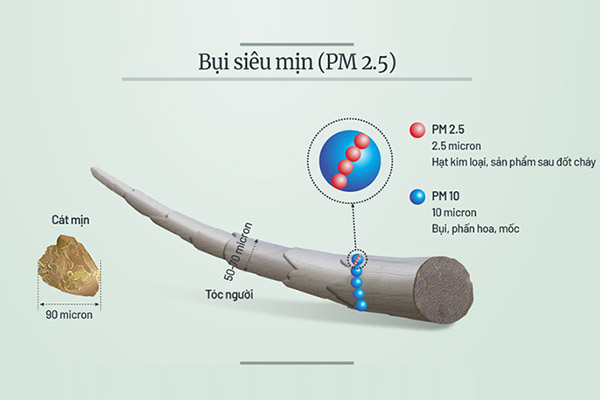 Quy trình bụi mịn xâp nhập cơ thể người