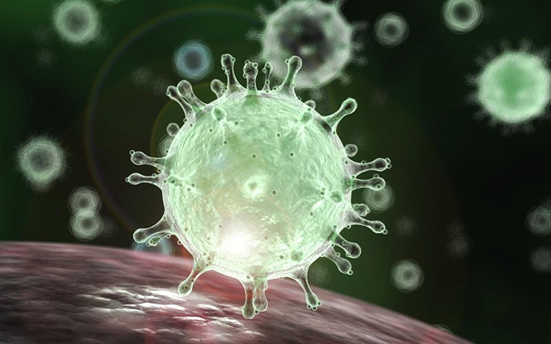Virus Corona