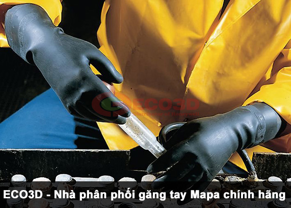 nhà phân phối găng tay mapa chính hãng