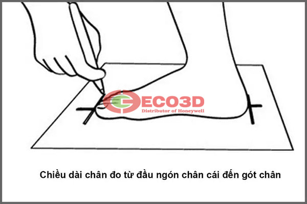 Cách tính size giày bảo hộ Hàn Quốc đơn giản