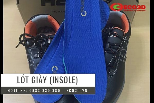 Lót giày (Insole)