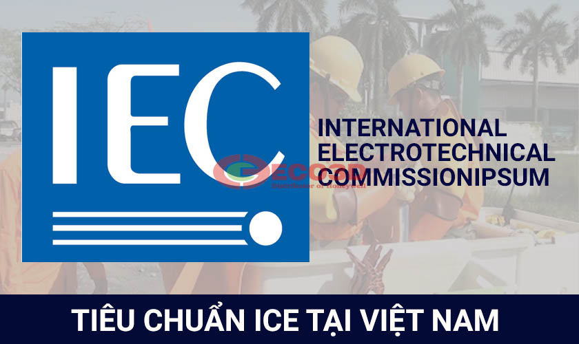 tiêu chuẩn ICE