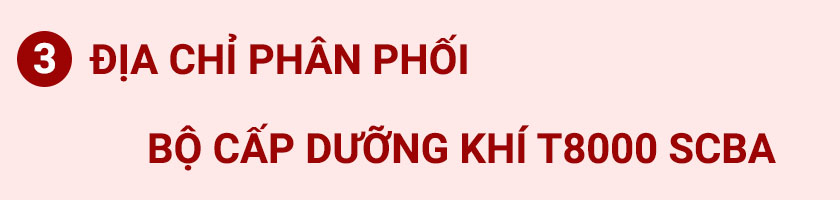 Bộ cấp dưỡng khí cá nhân T8000 SCBA