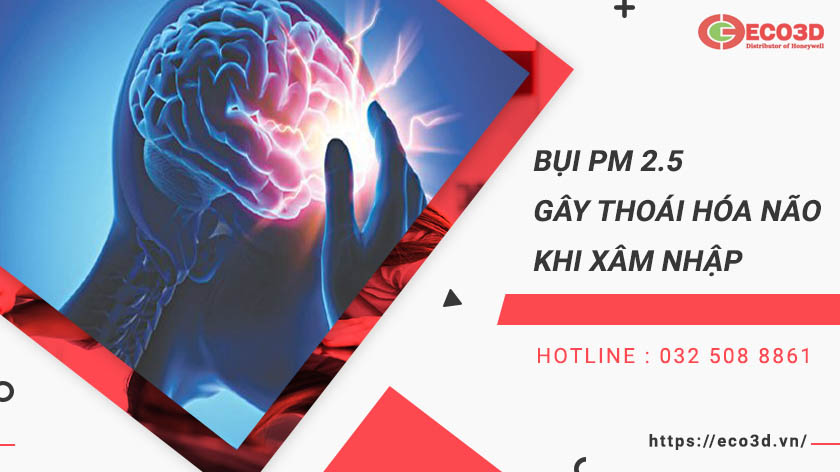 Khẩu trang pm 2.5 là gì?