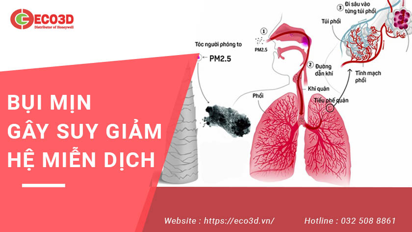 Khẩu trang pm 2.5 là gì?