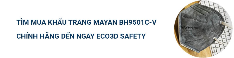 KHẨU TRANG HOẠT TÍNH MAYAN PM2.5 BH9501 CÓ VAN (2 cái)