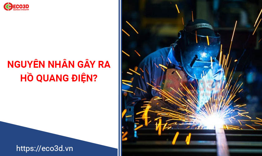 giam-su-co-ho-quang-dien-1