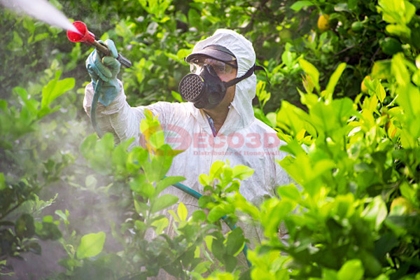 Sử dụng và bảo quản mặt nạ phun thuốc trừ sâu