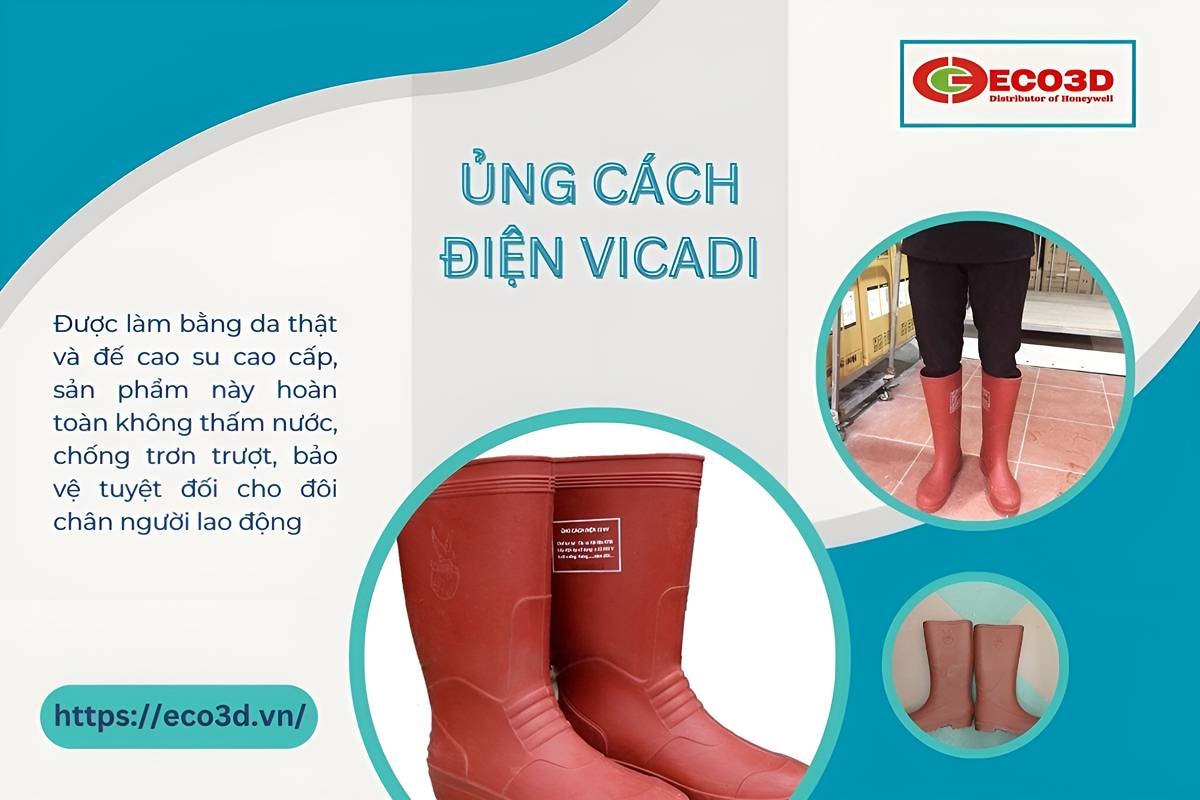 ủng cách điên vicadi 