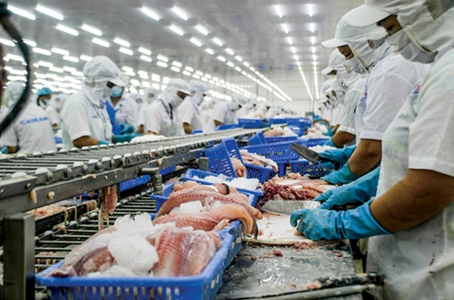 5 Cách lựa chọn găng tay thực phẩm cao su đúng cách