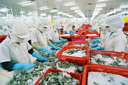 Có bao nhiêu loại găng tay chế biến thủy sản