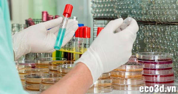 Găng tay cao su Nitrile và những điều bạn chưa biết