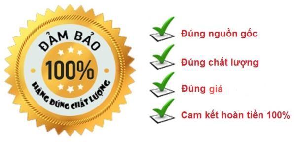 Công ty ECO3D nhập khẩu chính hãng