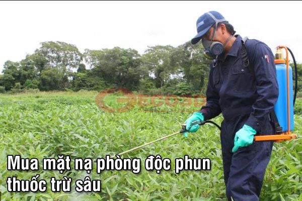 Mua mặt nạ phòng độc phun thuốc trừ sâu có cần thiết không ?